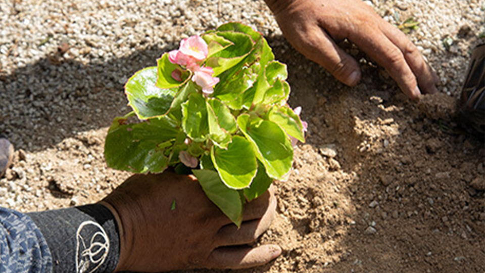 見た目だけでなく機能性も追求
