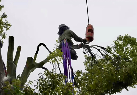 中古物件のリガーデンもおすすめ